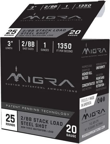 APLG_2038095