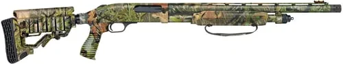 goldenstatearmory_2026_04_28_00_20_45_195630