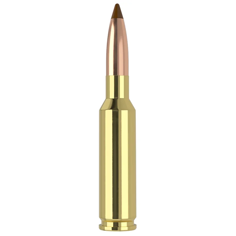 shinertactical_2026_04_28_05_52_41_220633